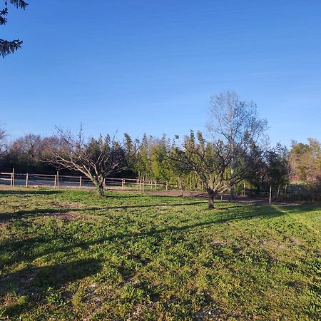 Maison A La Campagne Bouchet  Εξωτερικό φωτογραφία