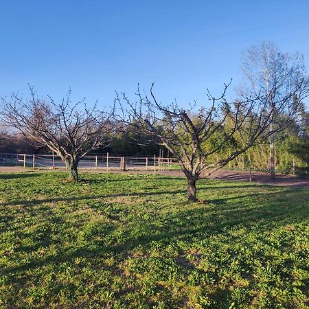 Maison A La Campagne Bouchet  Εξωτερικό φωτογραφία