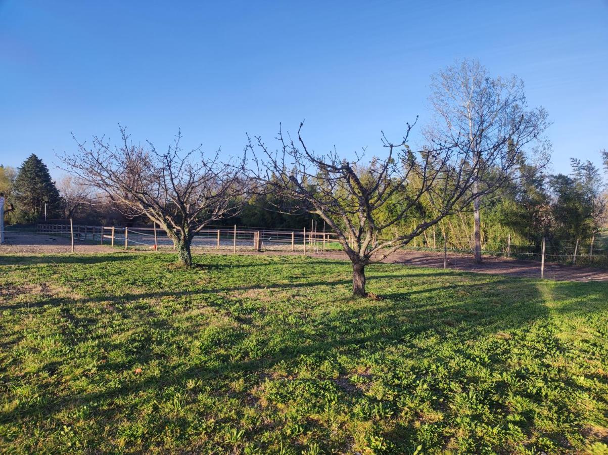 Maison A La Campagne Bouchet  Εξωτερικό φωτογραφία